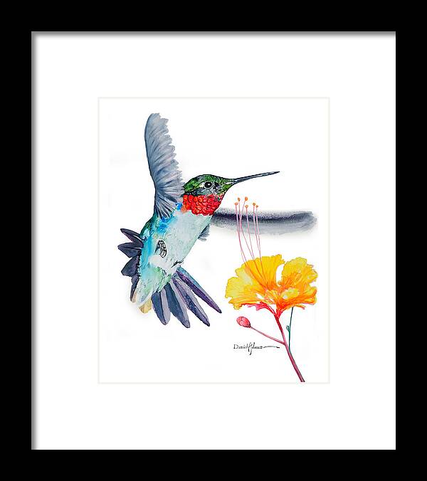Hummingbird Framed Print featuring the painting Da177 Flutter by Daniel Adams by Daniel Adams