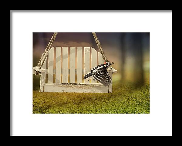 Nature Framed Print featuring the photograph Fly Away Downy by Bill and Linda Tiepelman