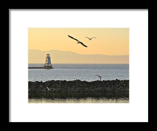 Digital Photography Framed Print featuring the photograph Fly By by Mike Reilly
