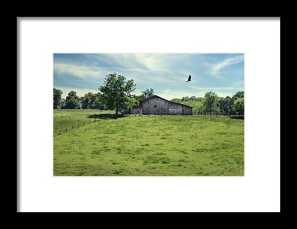 Nature Framed Print featuring the photograph Fly By by Steven Michael