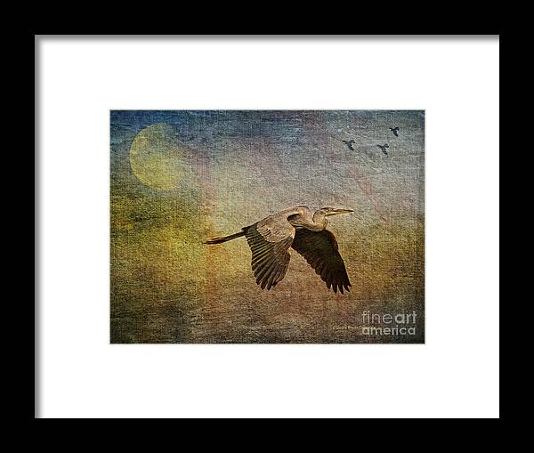 Heron Framed Print featuring the photograph Flying Near The Moon by Deborah Benoit