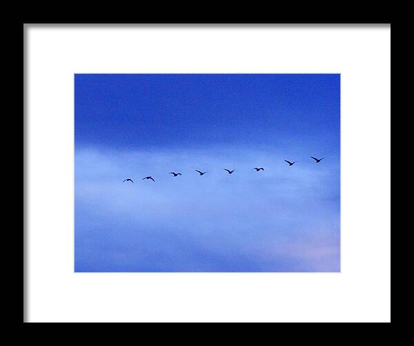 Sky Framed Print featuring the photograph Flying North by Marilyn Diaz