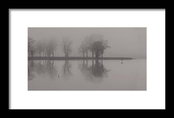 Landscape Framed Print featuring the photograph Fog and Fishing Eagle by Deborah Smith