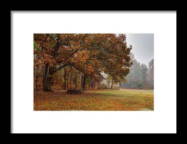 Autumn Framed Print featuring the photograph Fog and Foliage by Dimitry Papkov