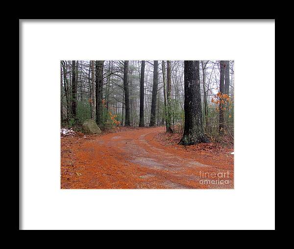 Pines Framed Print featuring the photograph Fog in the Pines by Lili Feinstein