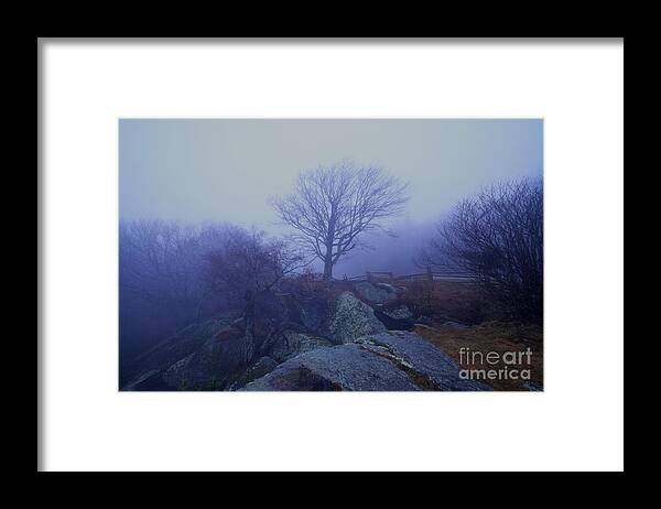 Super Dense Fog At The Blue Ridge Parkway Boone Framed Print featuring the photograph Fog Invasion by Robert Loe
