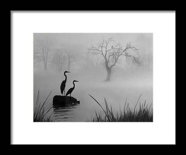 Birds Framed Print featuring the digital art Fog on the Lake by Nina Bradica