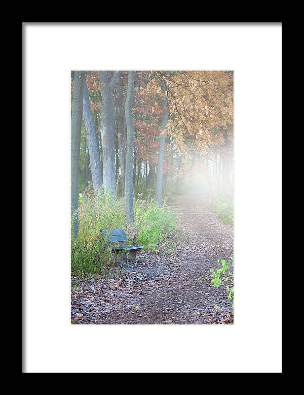 Foggy Autumn Morning Framed Print featuring the photograph Foggy Autumn Morning by Sebastian Musial