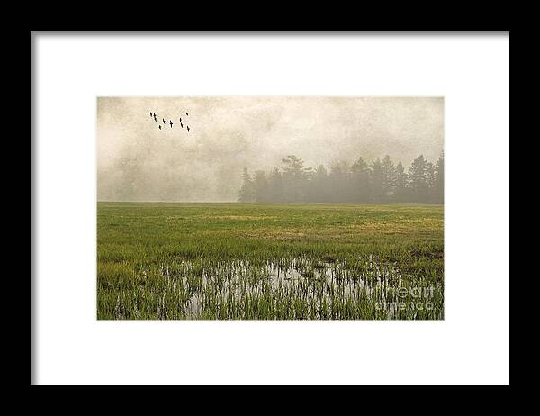 Maine Framed Print featuring the photograph Foggy Flying by Karin Pinkham
