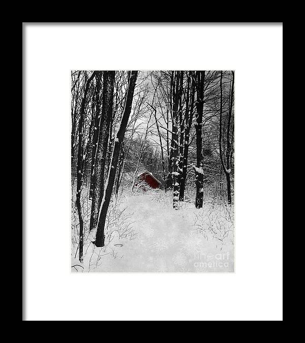 Snowflakes Framed Print featuring the photograph Follow The Snowflake Trail by Kathi Mirto