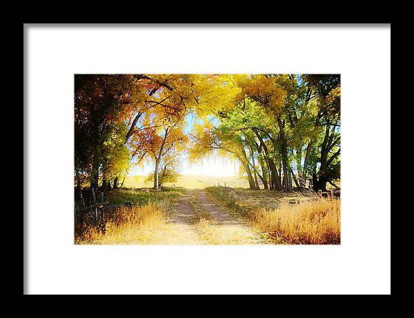  Landscape Framed Print featuring the photograph Follow your Heart by Shirley Heier