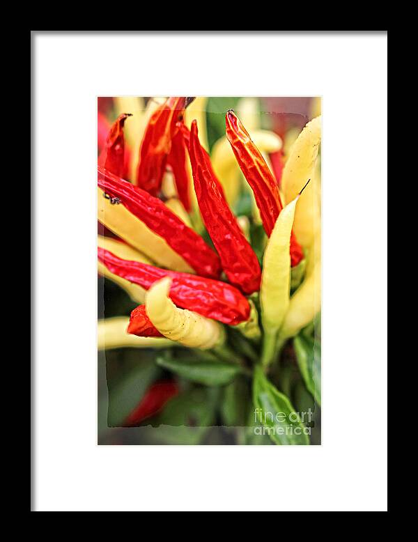 Food Framed Print featuring the photograph Food Art - Red and Yellow by Ella Kaye Dickey