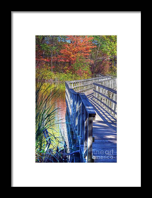 Bridge Framed Print featuring the photograph Footbridge by Rodney Campbell