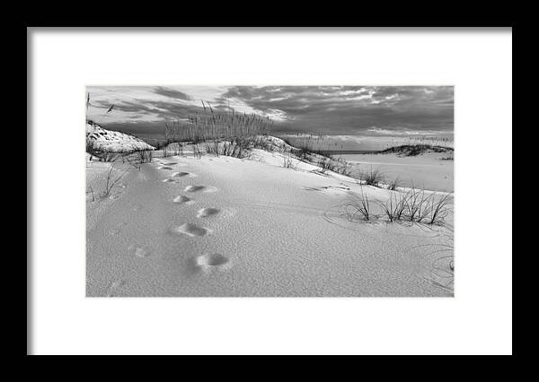 Black And White Framed Print featuring the photograph Footprints by JC Findley