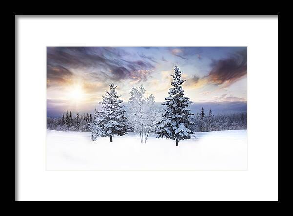 Trees Framed Print featuring the photograph For the Love of Winter by Amber Fite
