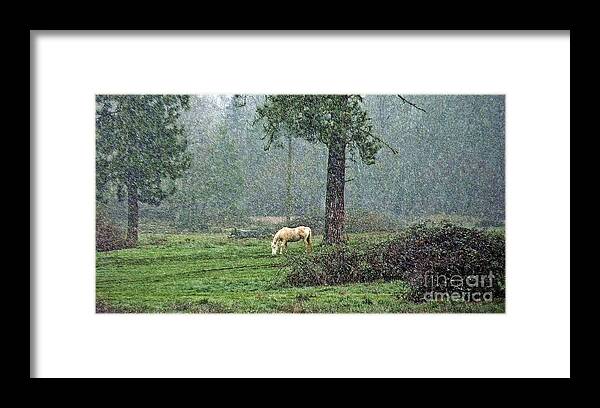 Landscape Framed Print featuring the photograph Forecast Snow by Julia Hassett