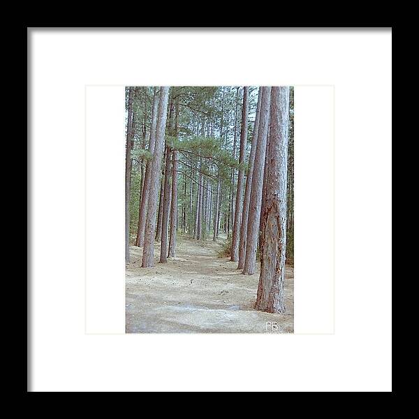 Vintage Framed Print featuring the photograph Forest At Camp Island. #35mm #nikonfa by Pb Photography