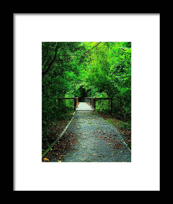 Trail Framed Print featuring the photograph Forest Entrance by Ester McGuire