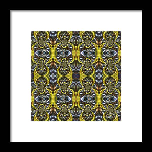 Fractal Framed Print featuring the digital art Forest Fractal by Beverly Claire Kaiya