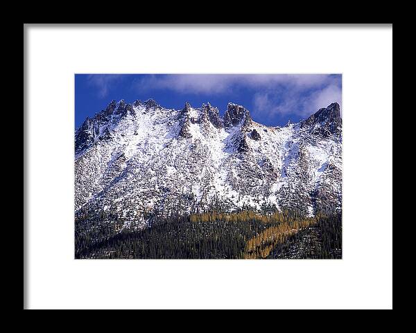 Snow Framed Print featuring the photograph Forest Gold by Ginny Barklow