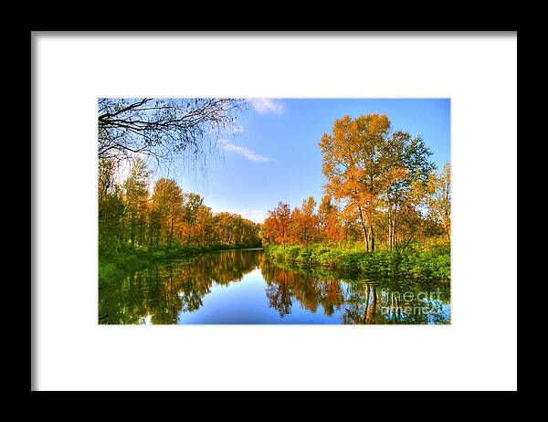 Forest Framed Print featuring the photograph Forest Golden Green by Boon Mee