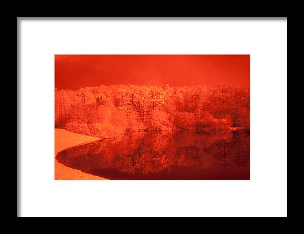 Forest Framed Print featuring the photograph Forest Lake by Miguel Winterpacht