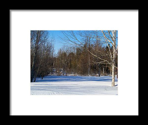 Maine Framed Print featuring the photograph Forest Opening by William Tasker
