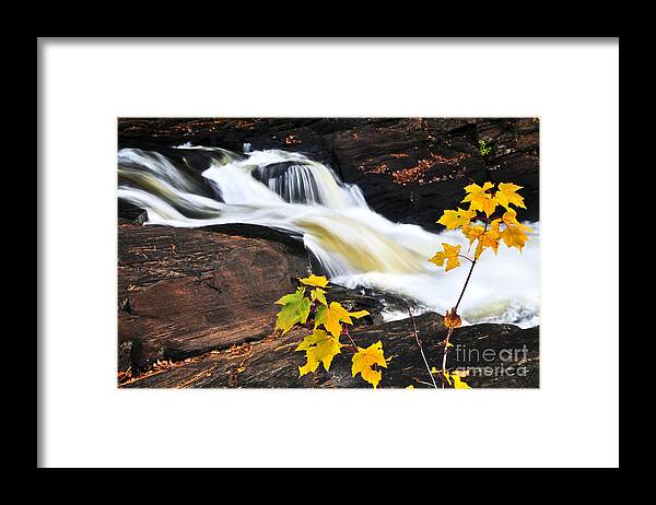 Autumn Framed Print featuring the photograph Forest river in the fall by Elena Elisseeva