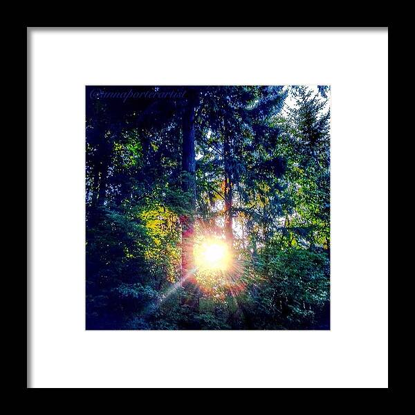 Forest Framed Print featuring the photograph Forest Sunset in my Neighborhood by Anna Porter