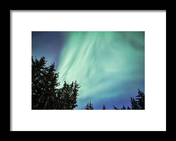 Alaska Framed Print featuring the photograph Forest with Aurora by Michele Cornelius