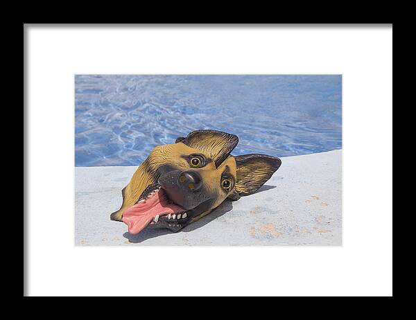 Pets Framed Print featuring the photograph Forgotten dog mask by Fernando Trabanco Fotografía