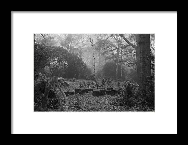 Trees Framed Print featuring the photograph Forset Trees by Maj Seda
