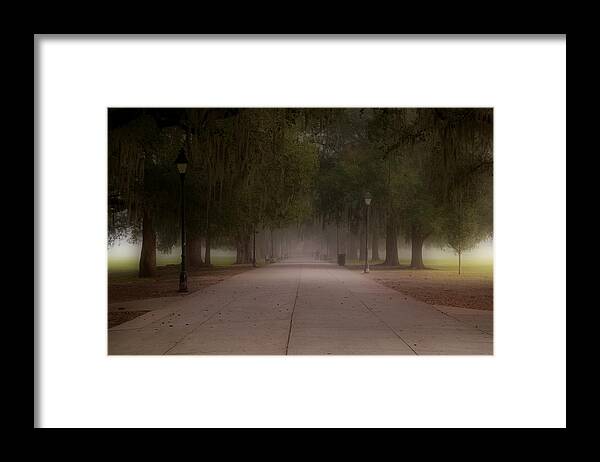 Forsyth Park Framed Print featuring the photograph Forsyth Park Pathway by Frank Bright