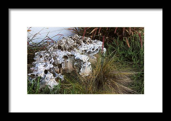 Nature Framed Print featuring the photograph Fossil Rock by Linda Phelps