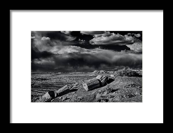 Amethyst Framed Print featuring the photograph Fossilized And Petrified Trees by Jerry Ginsberg