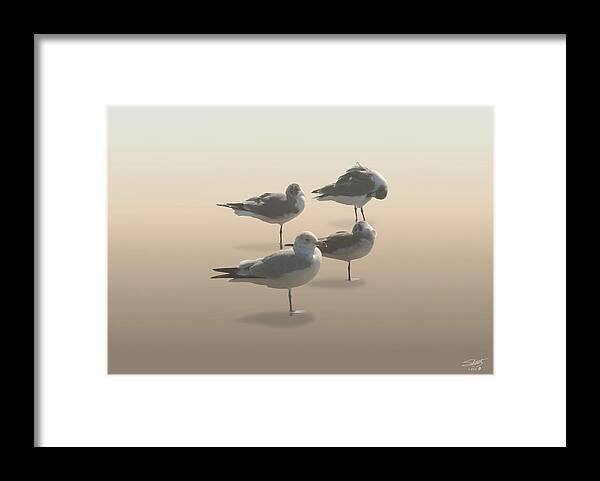 Seagull Framed Print featuring the digital art Four Seagulls on Sand Key by M Spadecaller