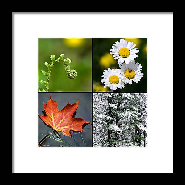Seasons Framed Print featuring the photograph Seasonal Nature Square by Christina Rollo