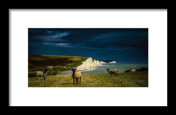 Seven Sisters Framed Print featuring the photograph Four Sheep and Seven Sisters by Chris Lord