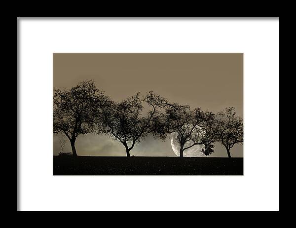 Trees Framed Print featuring the photograph Four Trees and a Moon by Ann Bridges