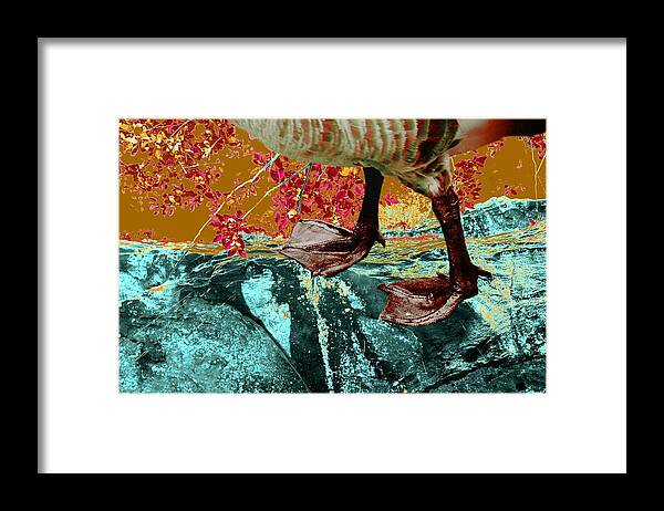 Goose Feet Framed Print featuring the photograph Fowl Weather Friend by Laureen Murtha Menzl