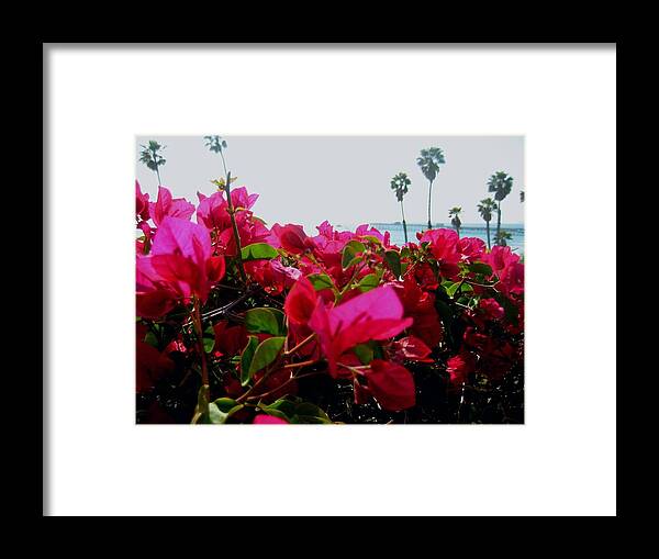 Landscape Framed Print featuring the photograph Fragrant Glance Of San Clemente Pier by Melissa McCrann