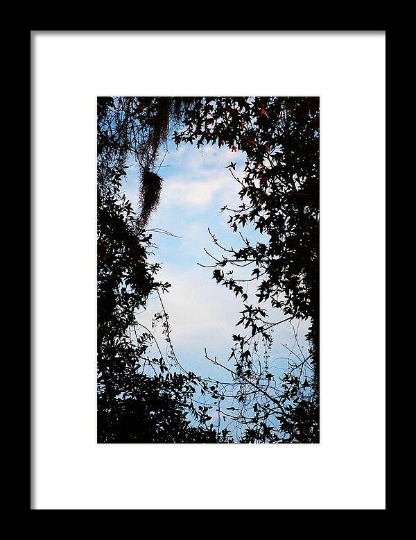 Sky Framed Print featuring the photograph Frame by Tamara Michael