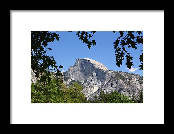 Half Dome Framed Print featuring the photograph Framed Half Dome by Bill Singleton
