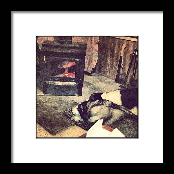 Canuckntuck Framed Print featuring the photograph Freaks Snuggling By The Fire by Hayley Koopman