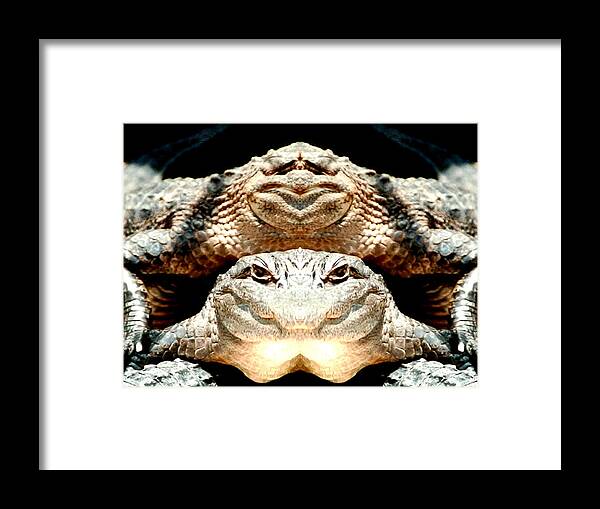 Wow What A Cool Looking Pair Of Framed Print featuring the photograph Love Them Freaky Florida Gators by Belinda Lee