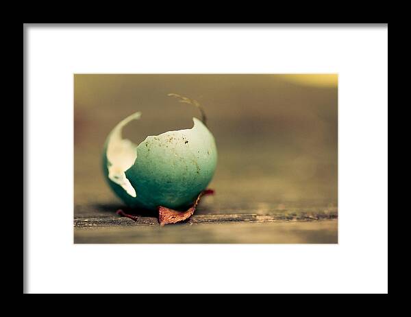 Egg Framed Print featuring the photograph Free by Shane Holsclaw