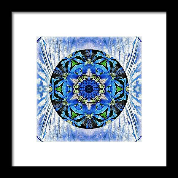 Anemone Blanda Framed Print featuring the mixed media Freedom and Love by Alicia Kent