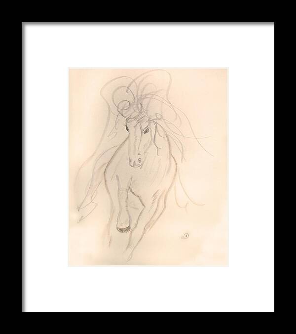 Horse Framed Print featuring the drawing Freedom to Run by Donna Blackhall