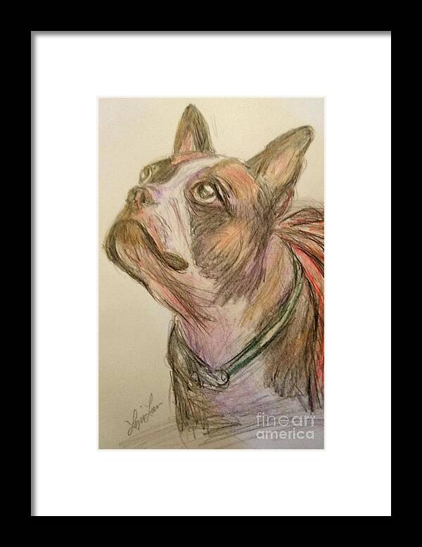 Animal Framed Print featuring the drawing French Bull Dog by Lyric Lucas