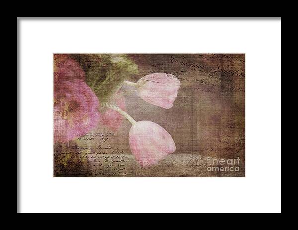 Tulips Framed Print featuring the digital art French Tulips by Jayne Carney